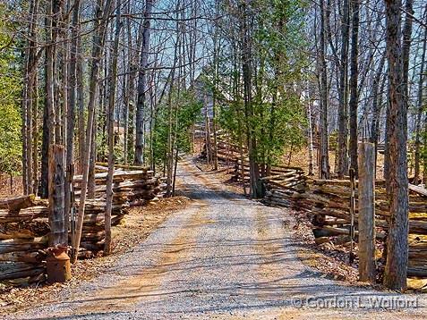 Split-Rail Laneway_DSCF01389-.jpg - Photographed near Sharbot Lake, Ontario, Canada.